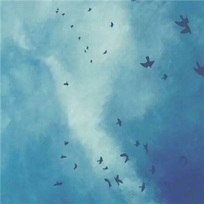 手机买彩票app下载手机app下载