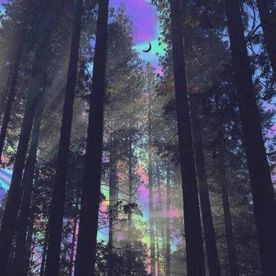 赢三张免费游戏